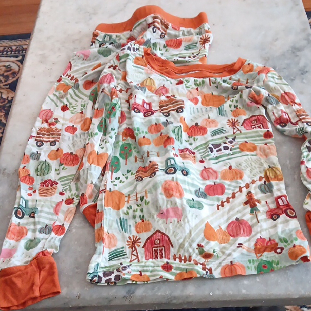 Little Sleepies Kids Autumn Pumpkin Farm Pajama Set - Orange Trim